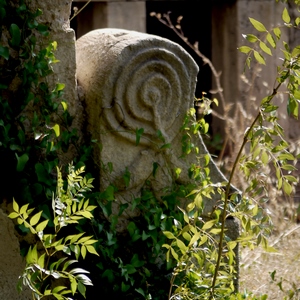 Elément en pierre sculpté au milieu de ruines envahies par la végétaiton - France  - collection de photos clin d'oeil, catégorie rues